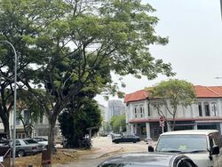 Joo Chiat Place (D15), Shop House #619484101